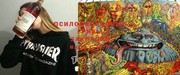 Альфа ПВП Баксан